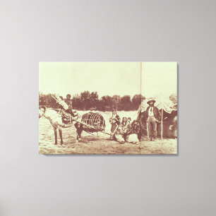 Toile Indiens de Cheyenne sur le mouvement, 1878 (photo