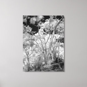 Toile Infra rouge d'arbres bâtiments et sentiers de Las