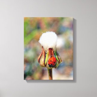 Toile insecte de la coccinelle vert de printemps rouge m