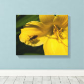 Toile Insecter sur une fleur jaune (Insitu (Plancher de Bois))