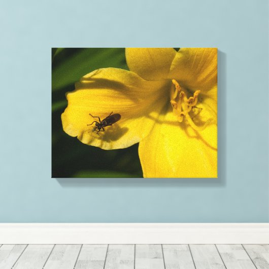 Toile Insecter sur une fleur jaune (Insitu (Plancher de Bois))