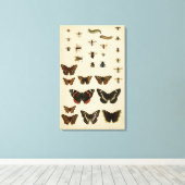 Toile Insectes de jardin par Vision Studio (Insitu (Plancher de Bois))