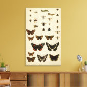 Toile Insectes de jardin par Vision Studio (Insitu(Salon))