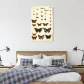 Toile Insectes de jardin par Vision Studio (Insitu(Chambre))