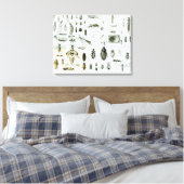 Toile Insectes Entomologiques (Insitu(Chambre))