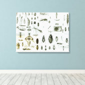 Toile Insectes Entomologiques (Insitu (Plancher de Bois))