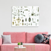 Toile Insectes Entomologiques (Insitu(Salon))