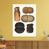 Toile Instruments en pierre XIX, Nouveau-Mexique (Insitu(Salon))