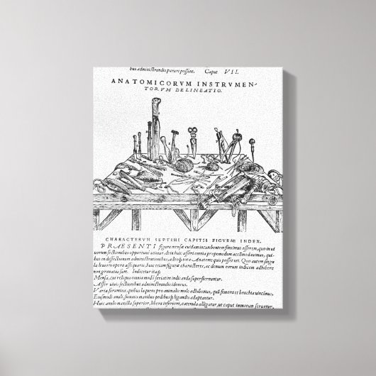 Toile Instruments pour Dissections, illustration de 'De (Recto)