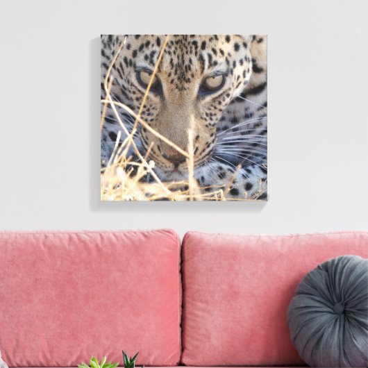 TOILE INTENSE LEOPARD EYES CLOSE-UP (Insitu(Salon))