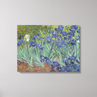 Toile Iris