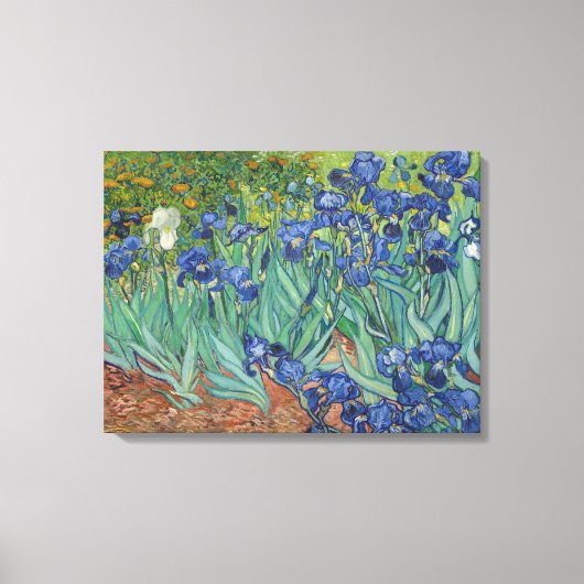 Toile Iris (Recto)