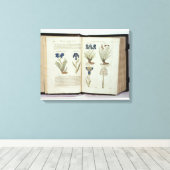 Toile Iris (Insitu (Plancher de Bois))