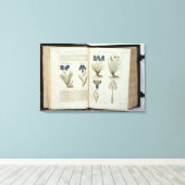 Toile Iris (Insitu (Plancher de Bois))