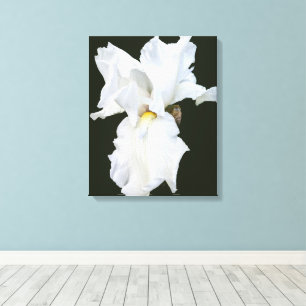 Toile Iris à barbe blanche sur fond noir