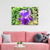 Toile Iris à poils (Insitu(Salon))