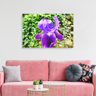 Toile Iris à poils