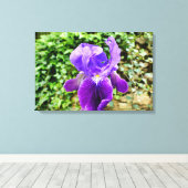 Toile Iris à poils (Insitu (Plancher de Bois))