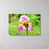 Toile Iris à poils (Recto)