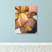 Toile Iris barbu floral jaune et violet (Insitu (Plancher de Bois))