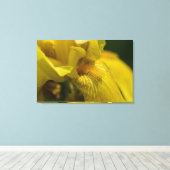 Toile Iris barbu jaune (Insitu (Plancher de Bois))