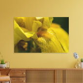 Toile Iris barbu jaune (Insitu(Salon))