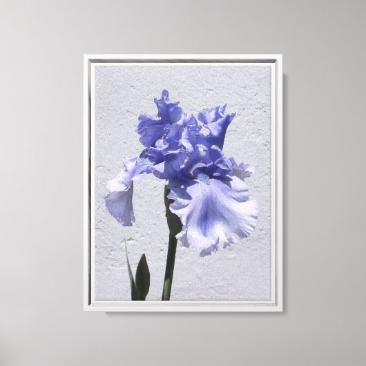 Toile Iris Bloom (Recto)