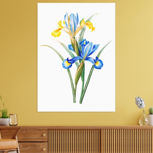 Toile Iris espagnol par Pierre-Joseph Redouté (Insitu(Salon))