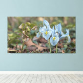 Toile Iris flowers (Insitu (Plancher de Bois))