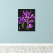 Toile Iris hollandais Purple Sensation (Insitu (Plancher de Bois))