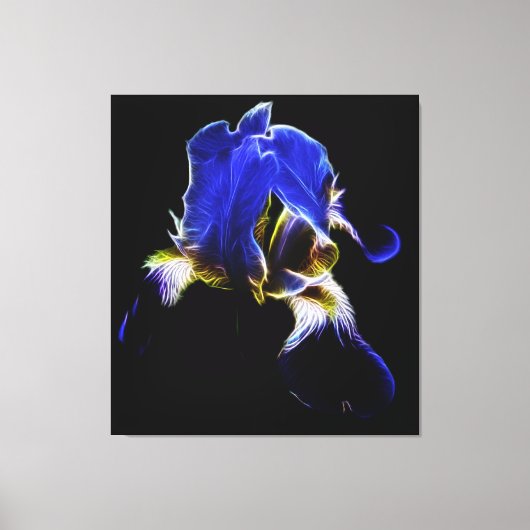 Toile Iris pourpre (Recto)