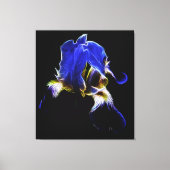 Toile Iris pourpre (Recto)