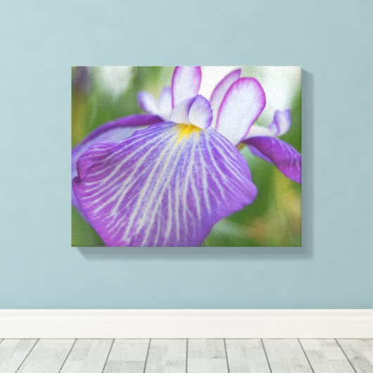 Toile Iris pourpre (Insitu (Plancher de Bois))
