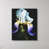 Toile Iris pourpre (Recto)
