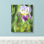 Toile Iris pourpre (Insitu (Plancher de Bois))