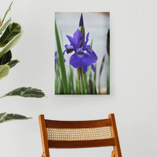 Toile Iris Pourpre Botanique Floral Photographique