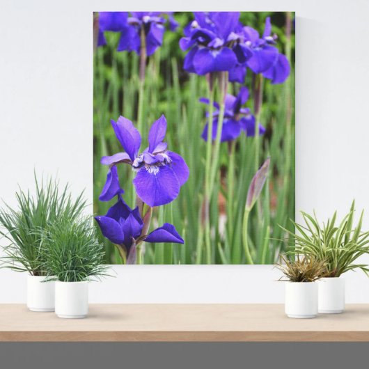 Toile Iris Pourpre Floral Botanique Photographique