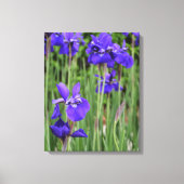 Toile Iris Pourpre Floral Botanique Photographique (Recto)