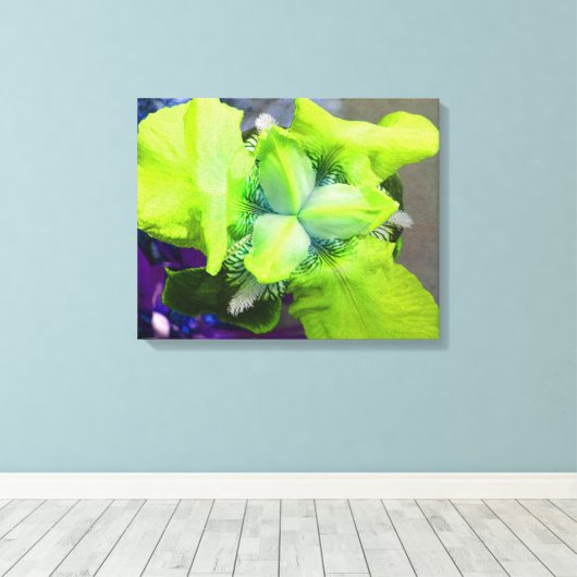 Toile Iris Vert Clair (Insitu (Plancher de Bois))