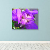 Toile Iris Violet (Insitu (Plancher de Bois))