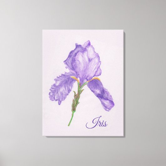 Toile Iris Violet, Style Botanique, Art Crayon Coloré (Recto)