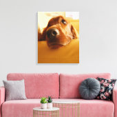 Toile Irish Setter sur canapé (Insitu(Salon))