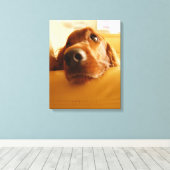 Toile Irish Setter sur canapé (Insitu (Plancher de Bois))