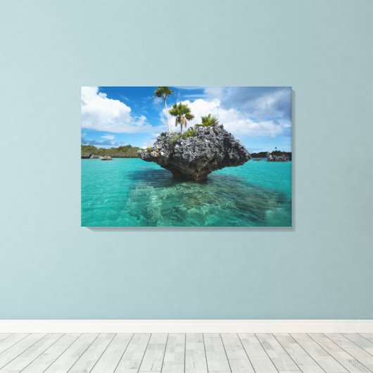 Toile Islet De Champignons À Fidji (Insitu (Plancher de Bois))