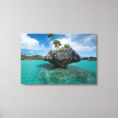 Toile Islet De Champignons À Fidji (Recto)