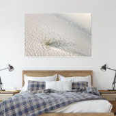 Toile Isolé (Insitu(Chambre))