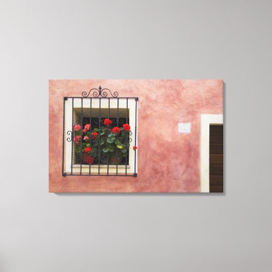 Toile Italie, Asciano, Boîtes de fenêtre avec printemps  (Recto)