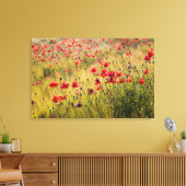 Toile Italie, Toscane, Poppies dans le champ de blé de p (Insitu(Salon))