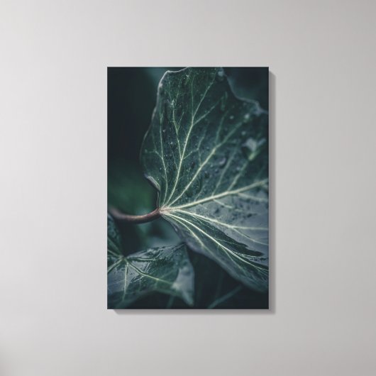 Toile Ivy Leaf Nature Photo (Recto)