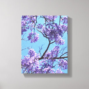 Toile Jacaranda Blossoms